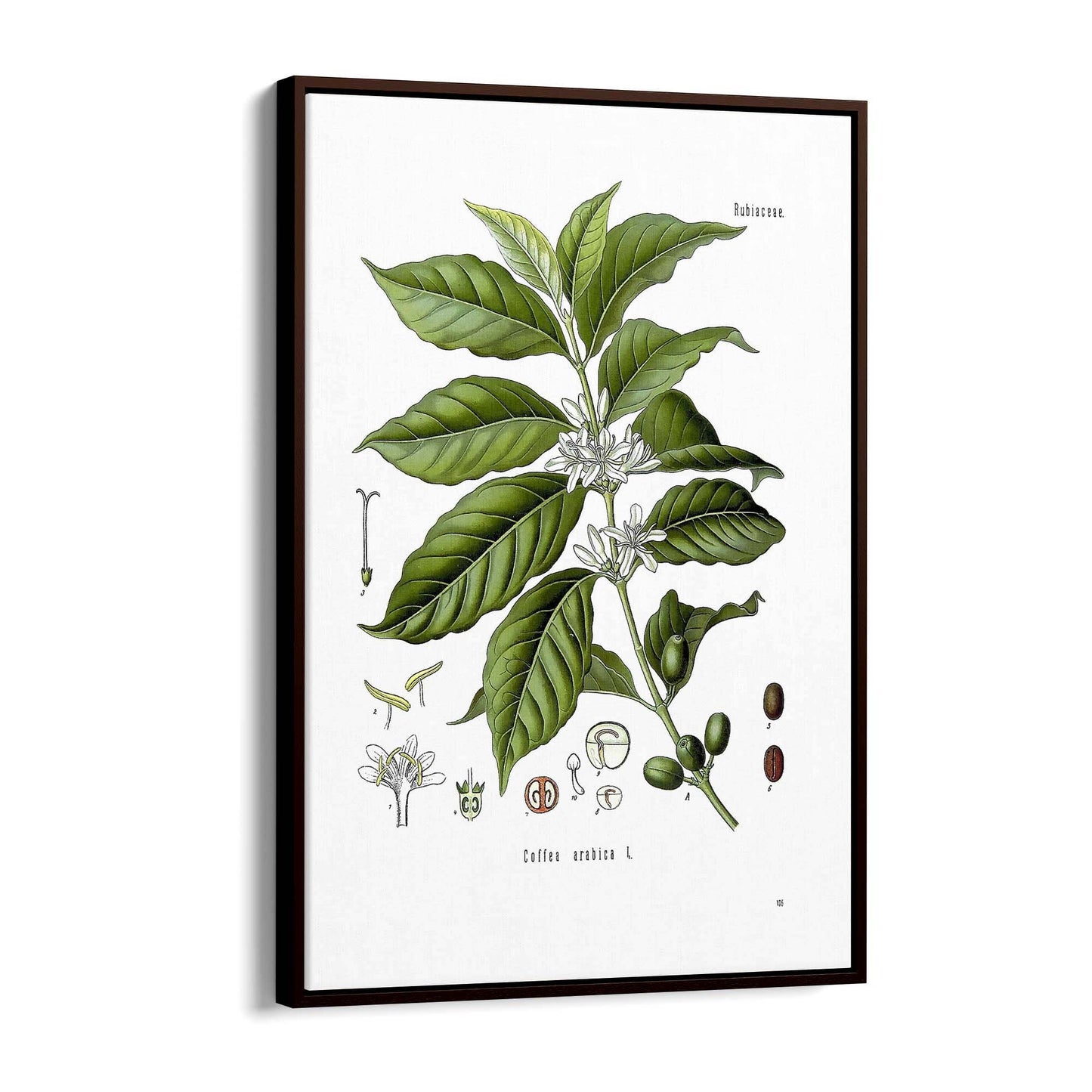 Coffee Branch Botanical Kitchen Cafe Wall Art #1 - The Affordable Art Company