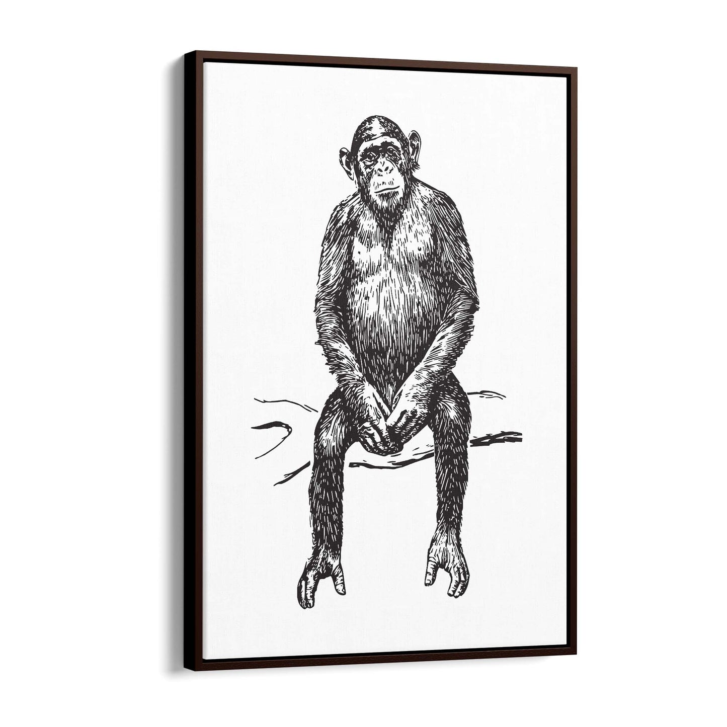 Monkey Drawing Animal Jungle Wall Art - The Affordable Art Company