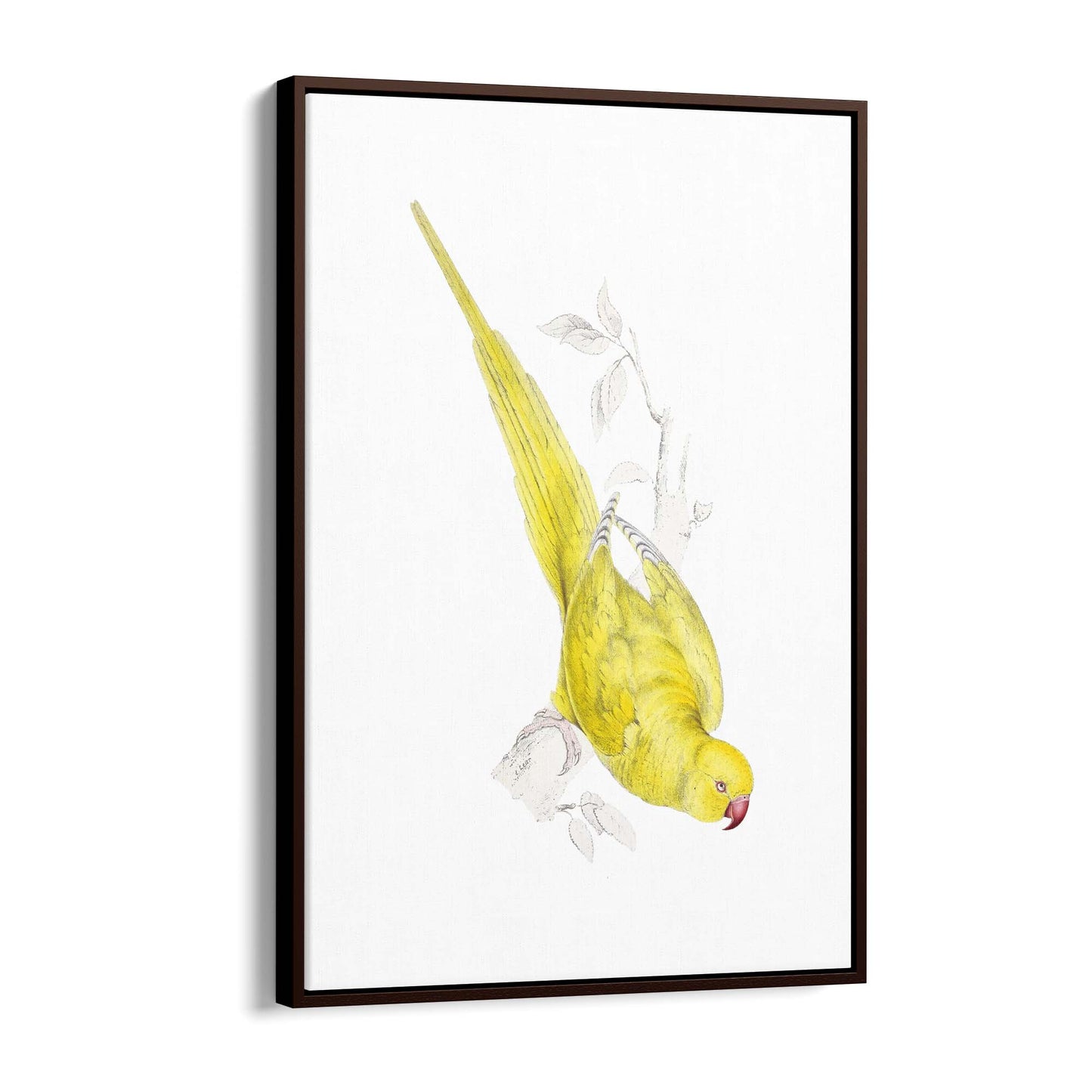 Yellow Roseringed Parakeet Exotic Bird Wall Art - The Affordable Art Company