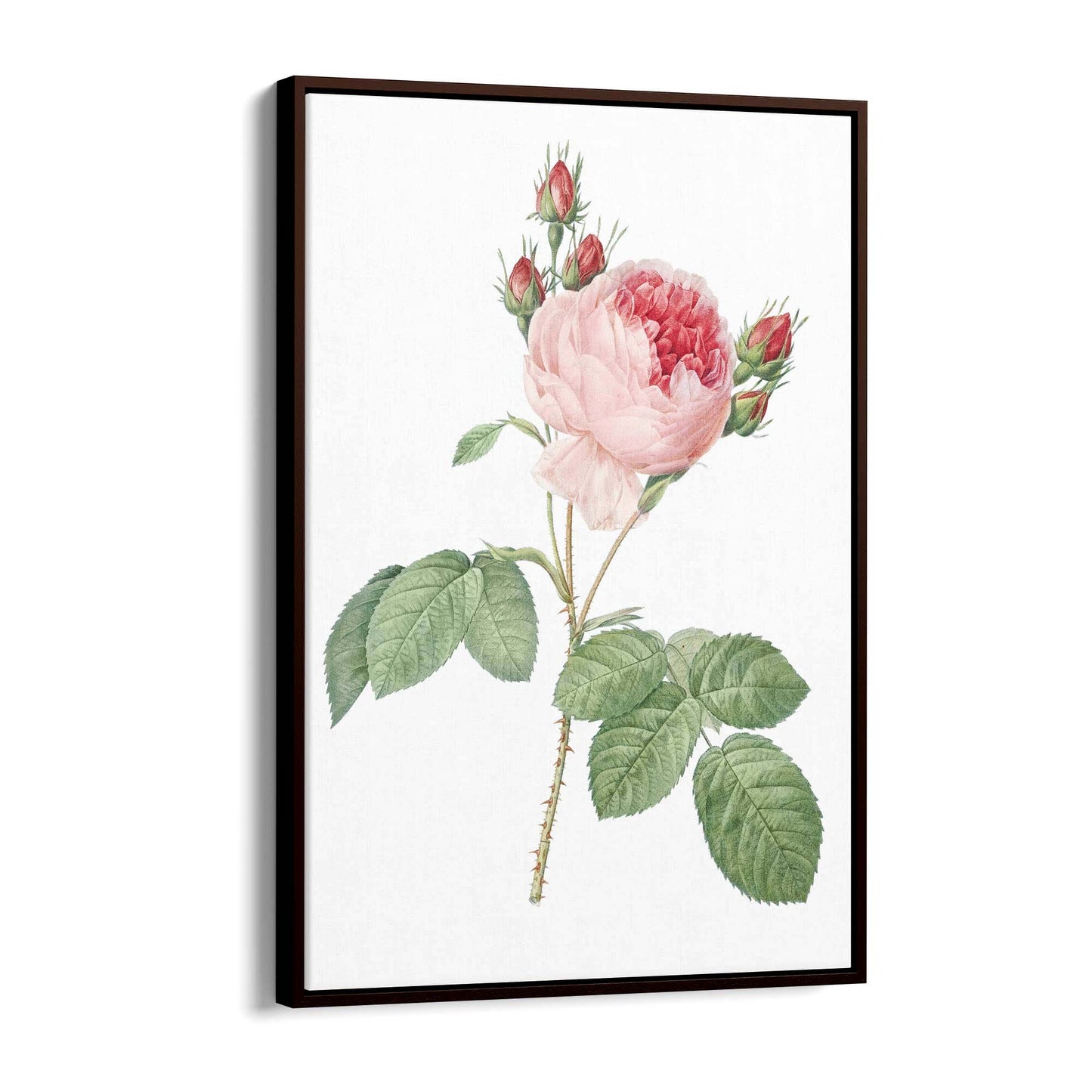 Flower Botanical Painting Kitchen Hallway Wall Art #36 - The Affordable Art Company