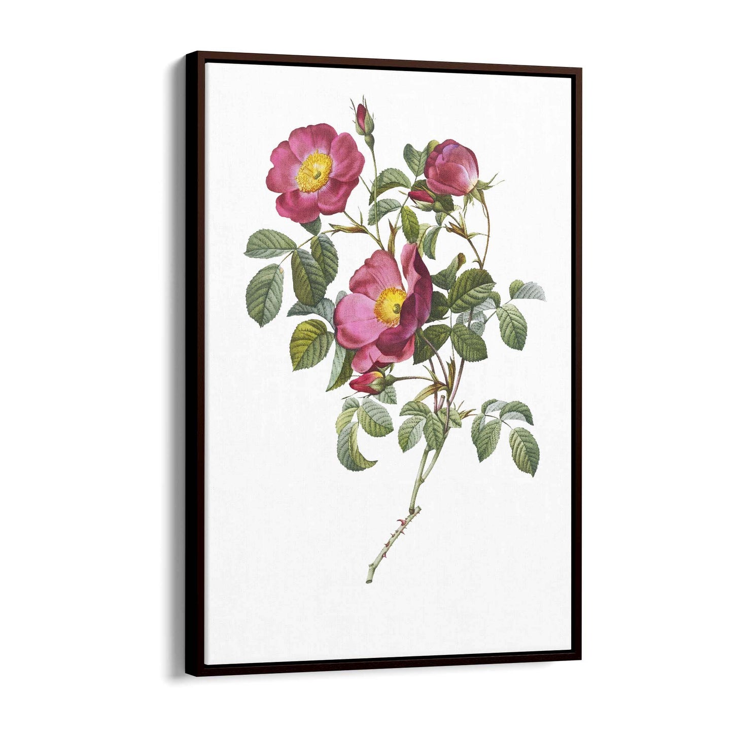 Flower Botanical Painting Kitchen Hallway Wall Art #41 - The Affordable Art Company