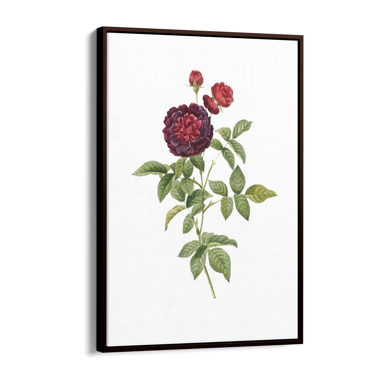 Flower Botanical Painting Kitchen Hallway Wall Art #30 - The Affordable Art Company