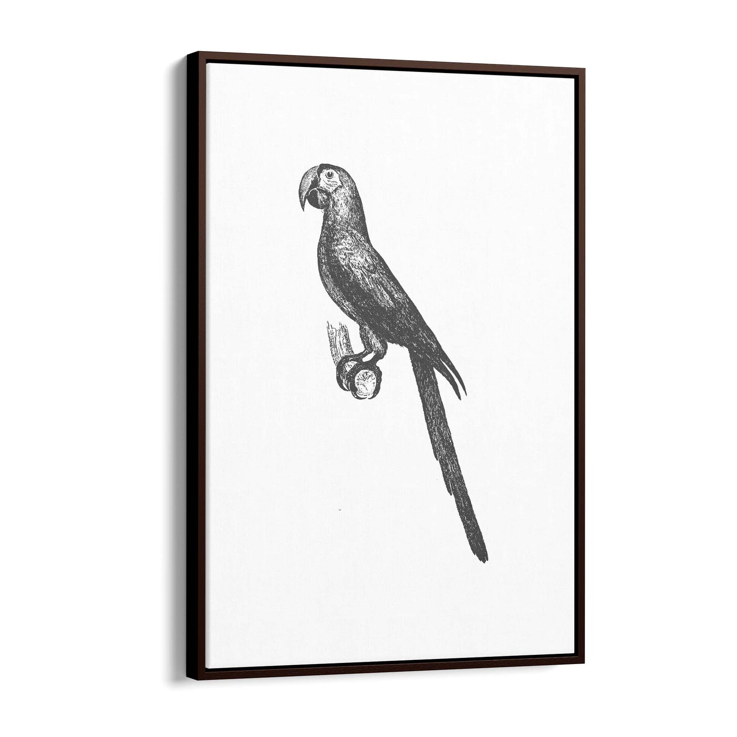 Parrot Drawing Minimal Exotic Bird Wall Art - The Affordable Art Company