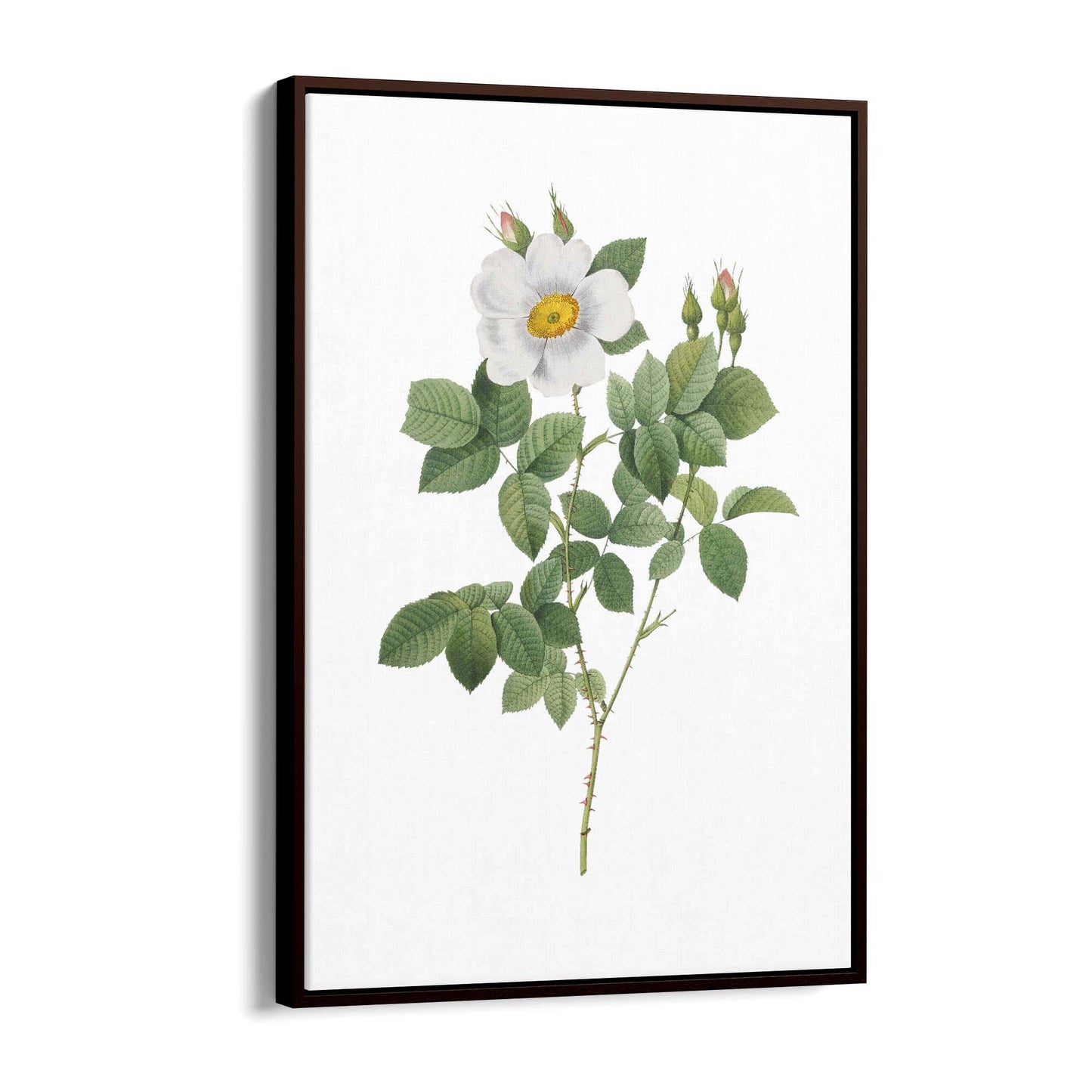 Flower Botanical Painting Kitchen Hallway Wall Art #4 - The Affordable Art Company