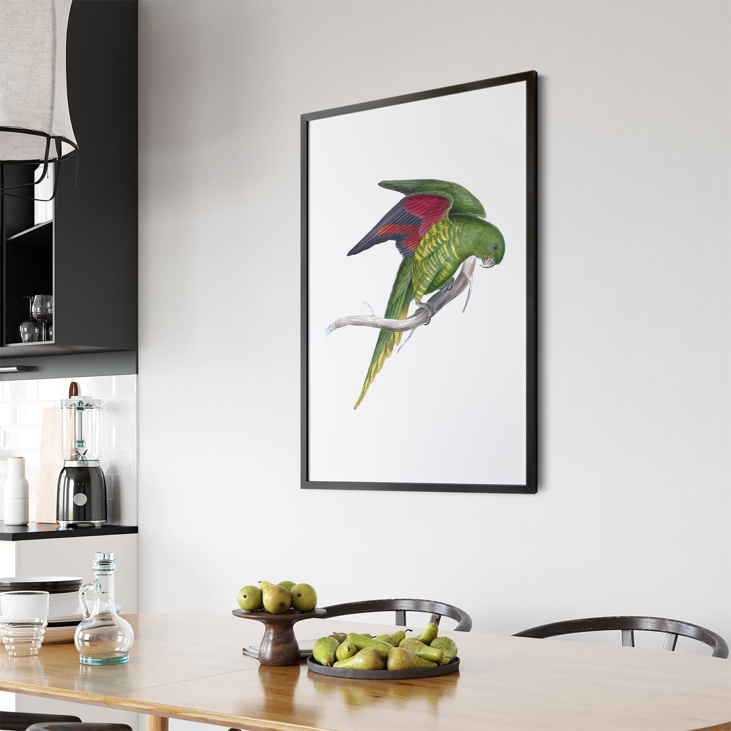 Matons Parakeet Exotic Bird Drawing Wall Art - The Affordable Art Company