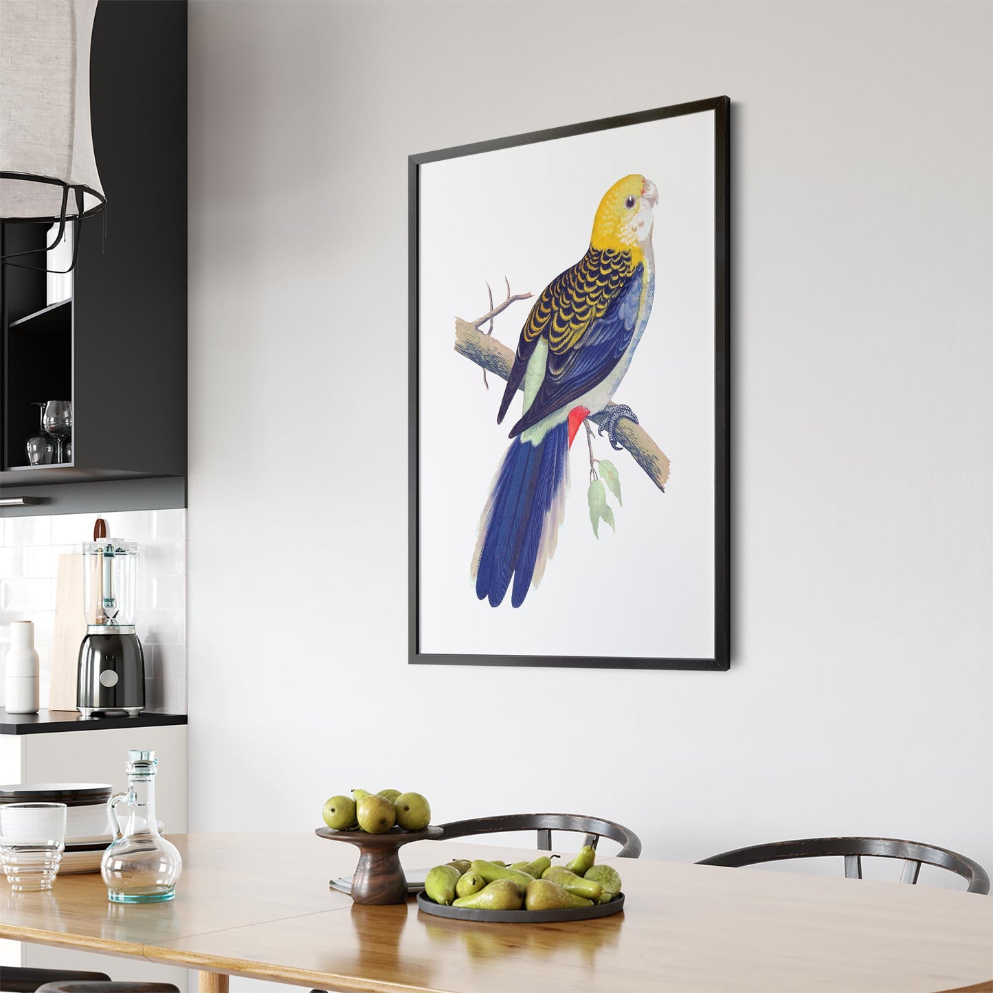 Pale Headed Rosella Exotic Bird Drawing Wall Art - The Affordable Art Company