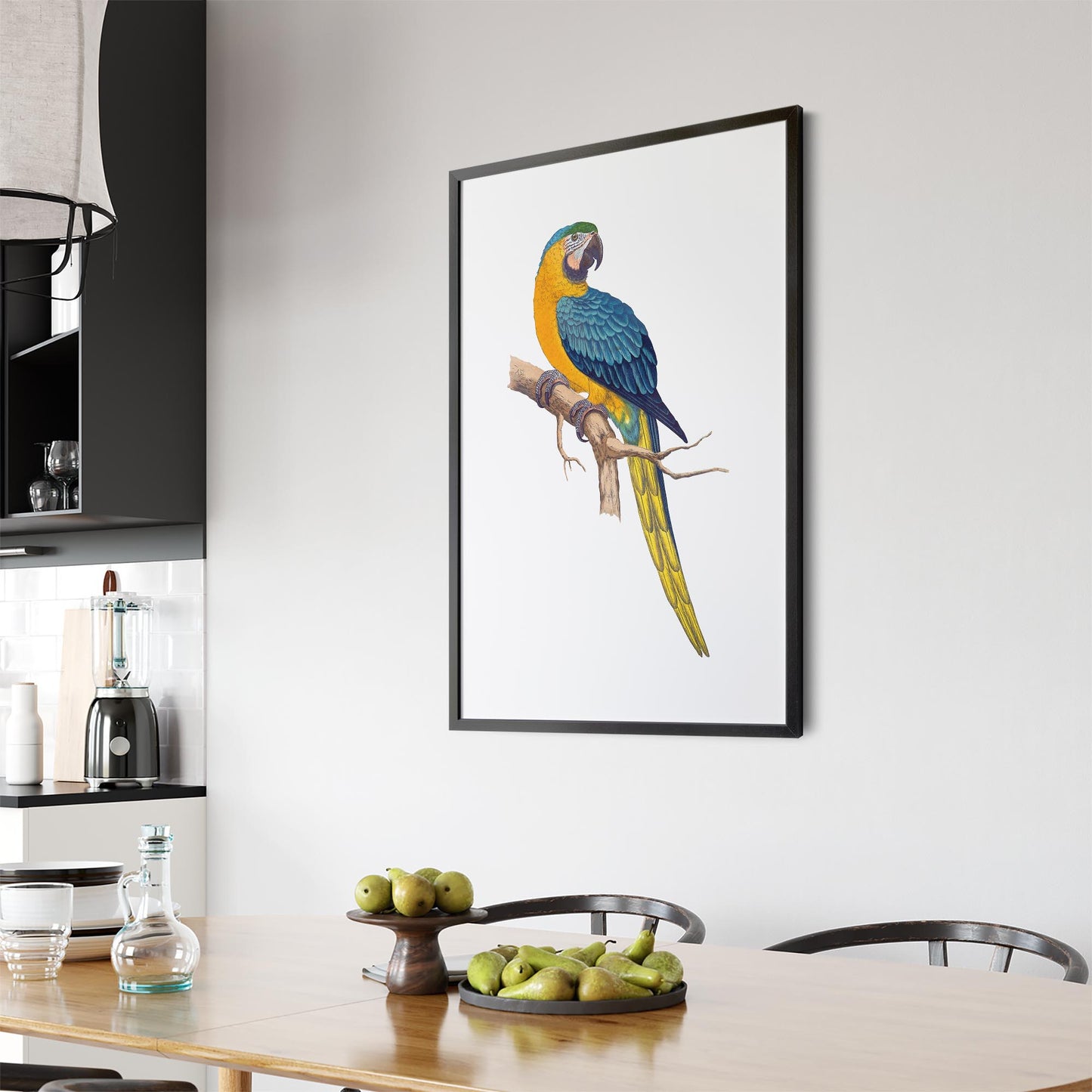 Blue and Yellow Macaw Exotic Bird Drawing Wall Art - The Affordable Art Company