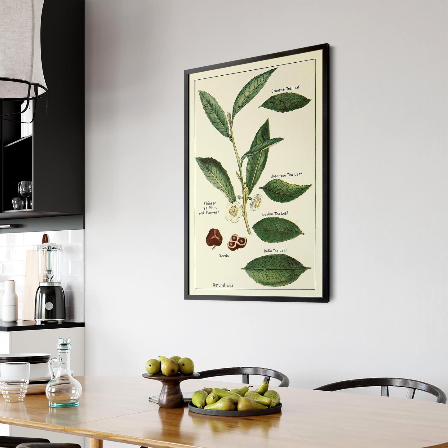 Green Tea Botanical Drawing Kitchen Wall Art - The Affordable Art Company
