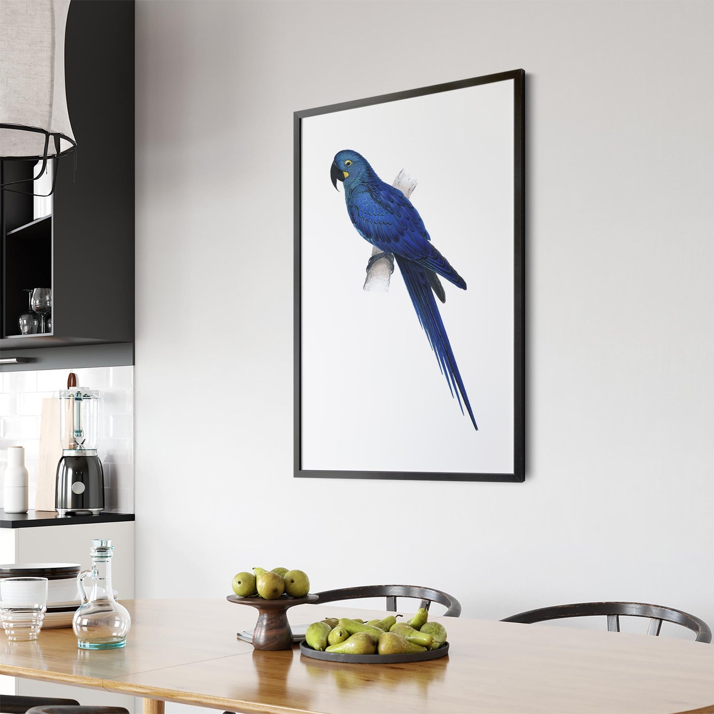 Hyacinth Macaw Blue Exotic Bird Drawing Wall Art - The Affordable Art Company