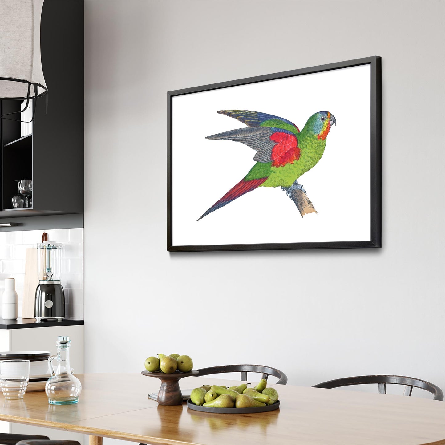 Swift Lorikeet Exotic Bird Drawing Wall Art - The Affordable Art Company