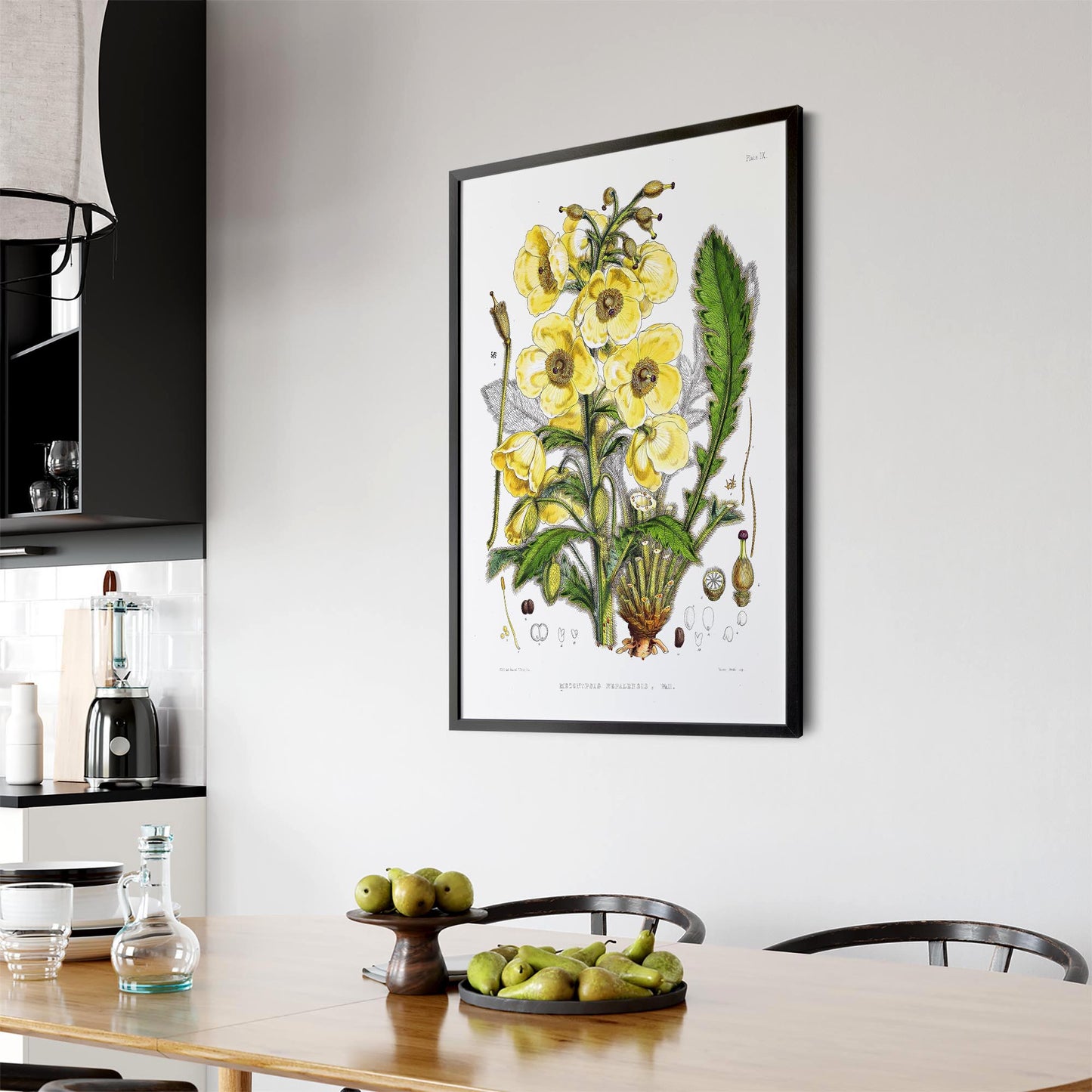 Yellow Flower Vintage Botanical Kitchen Wall Art #5 - The Affordable Art Company