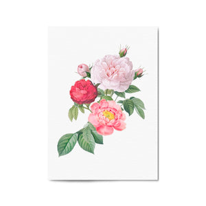 Botanical Flower Painting Floral Kitchen Wall Art #1 - The Affordable Art Company