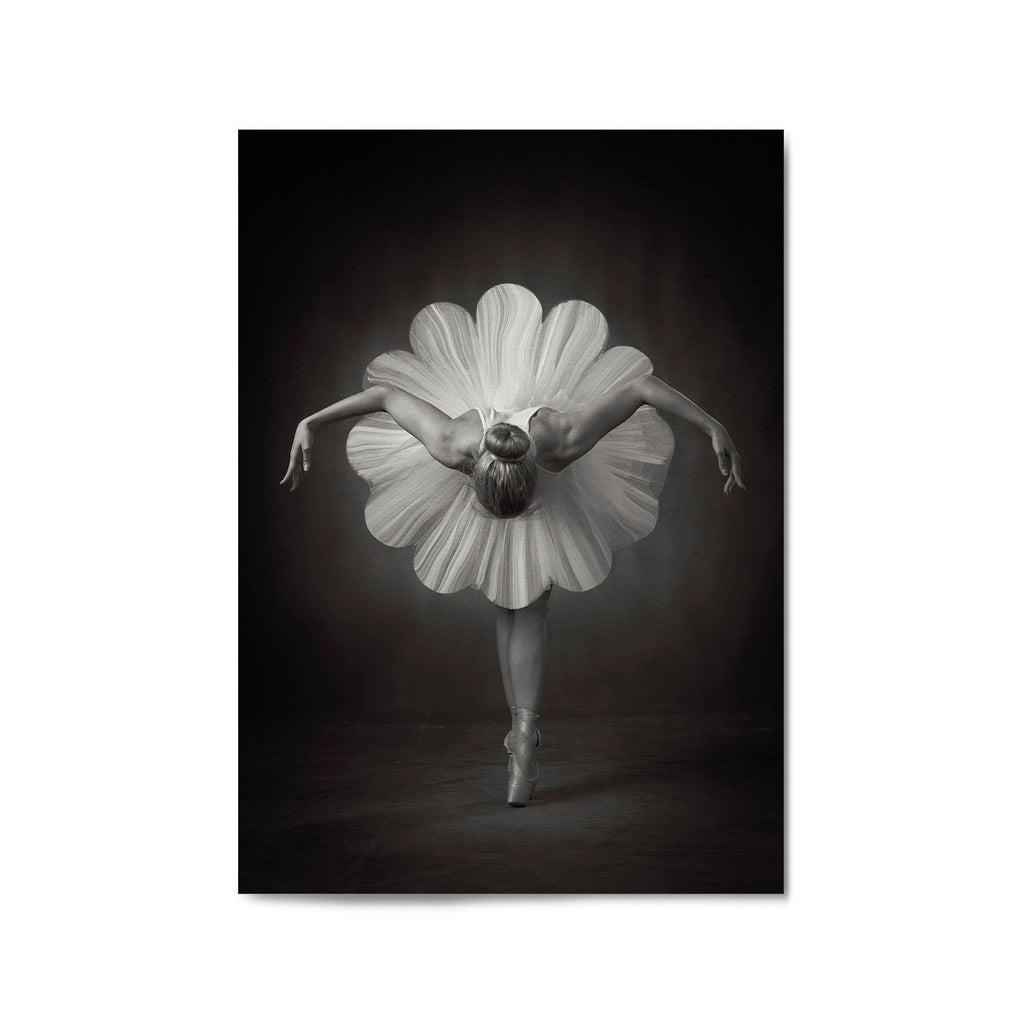 Floral Ballet by Catchlight Studio - The Affordable Art Company