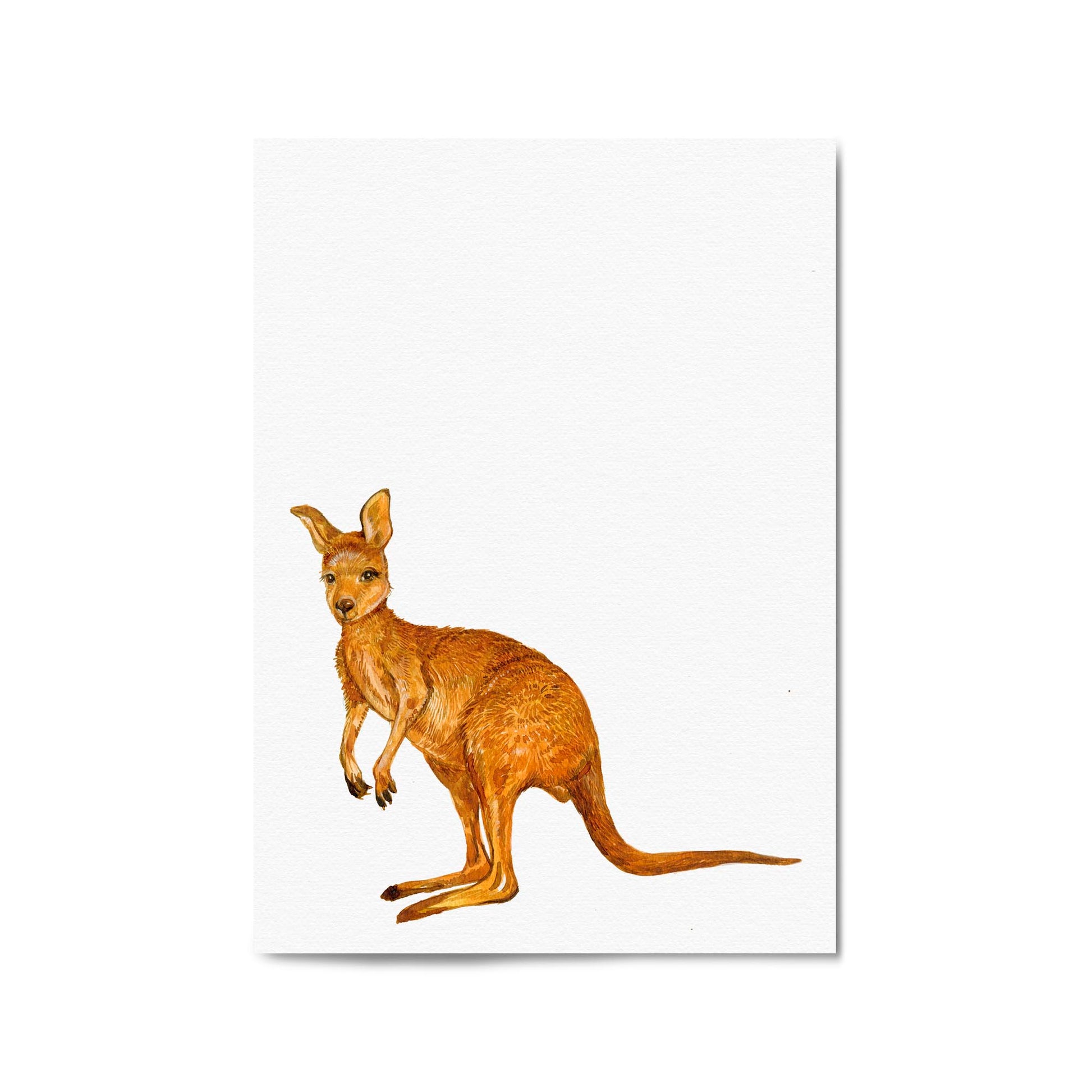 Australian Red Kangaroo Painting Animal Nursery Art - The Affordable Art Company