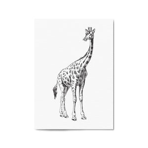 Detailed Giraffe Drawing Safari Animal Wall Art #2 - The Affordable Art Company