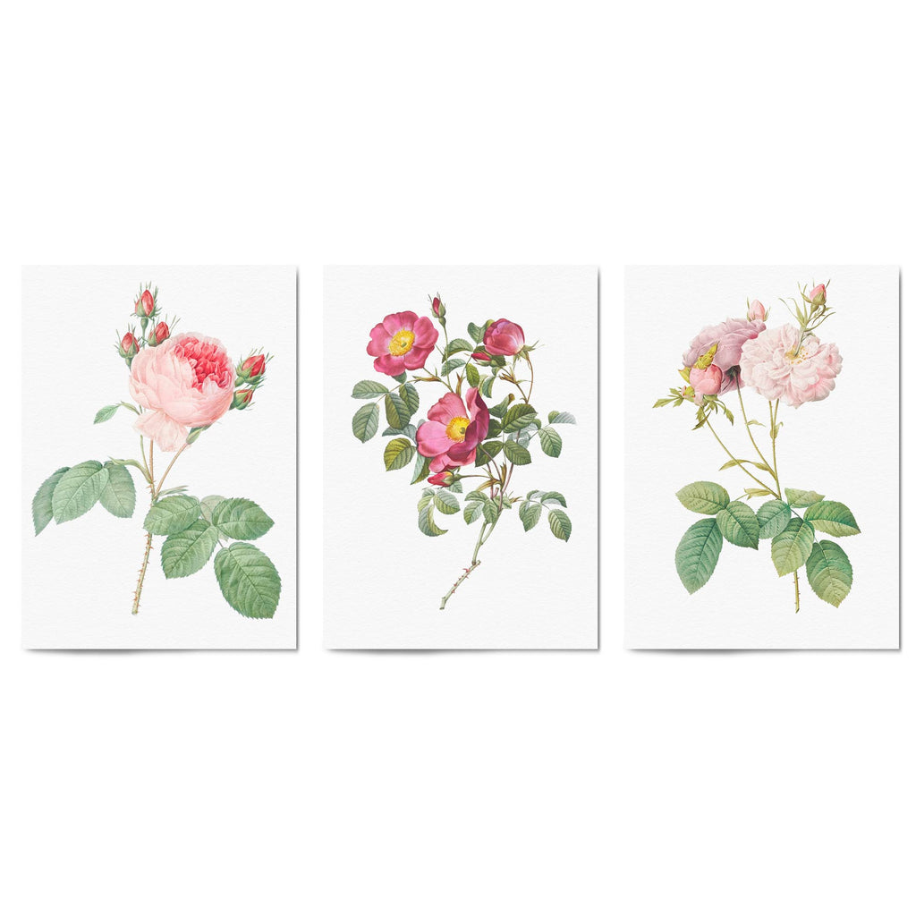 Set of Pink & White Flower Botanical Wall Art - The Affordable Art Company