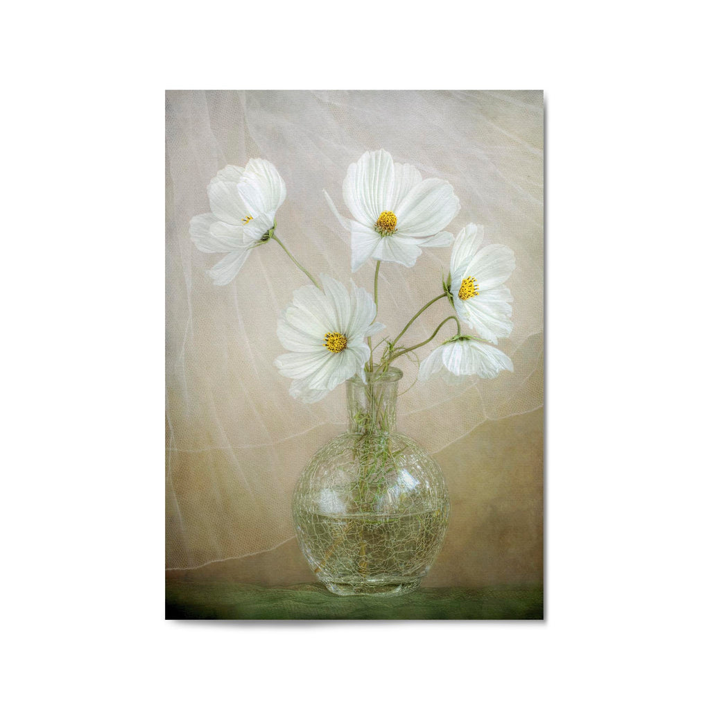 Cosmos Breeze Floral Painting by Mandy Disher - The Affordable Art Company