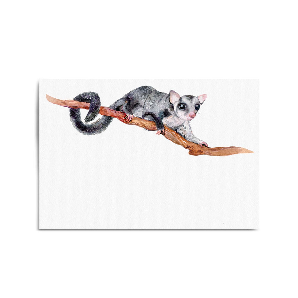 Australian Possum Painting Animal Nursery Wall Art - The Affordable Art Company