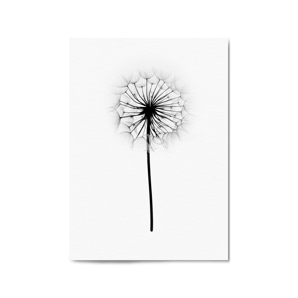 Dandelion Drawing Minimal Flower Wall Art #2 - The Affordable Art Company
