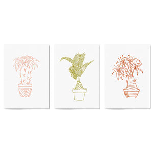 Set of Abstract Plants Kitchen Hallway Wall Art - The Affordable Art Company