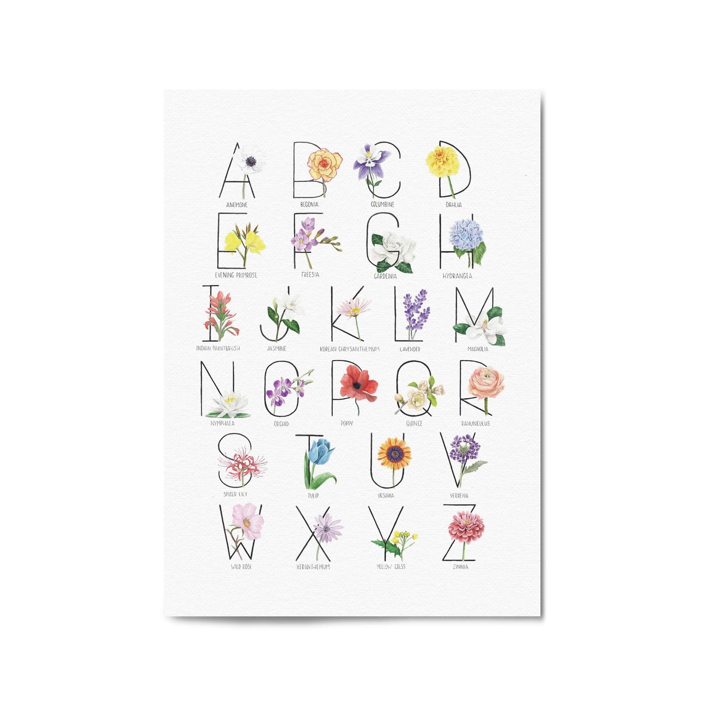 Flower Alphabet Kitchen Drawing Wall Art - The Affordable Art Company