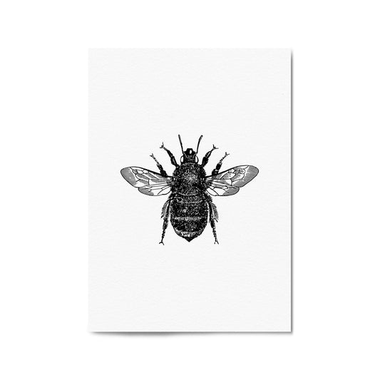 Bumblebee Drawing Insect Minimal Wall Art - The Affordable Art Company