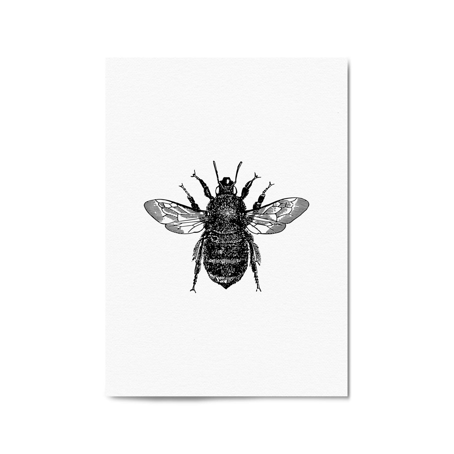 Bumblebee Drawing Insect Minimal Wall Art - The Affordable Art Company