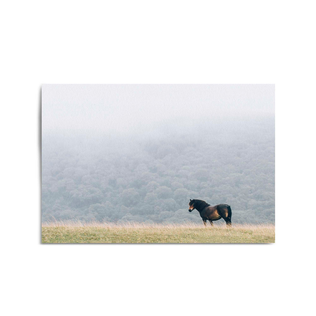 Lone Horse Landscape Photograph Nature Wall Art - The Affordable Art Company