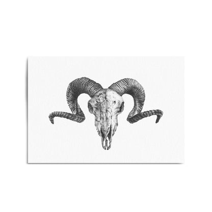 Ram Skull Drawing Man Cave Animal Wall Art - The Affordable Art Company