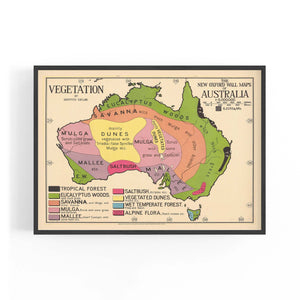 Australian Vegetation Vintage Map Wall Art - The Affordable Art Company