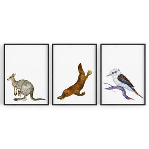 Set of Australian Animals Nursery Cute Wall Art #2 - The Affordable Art Company