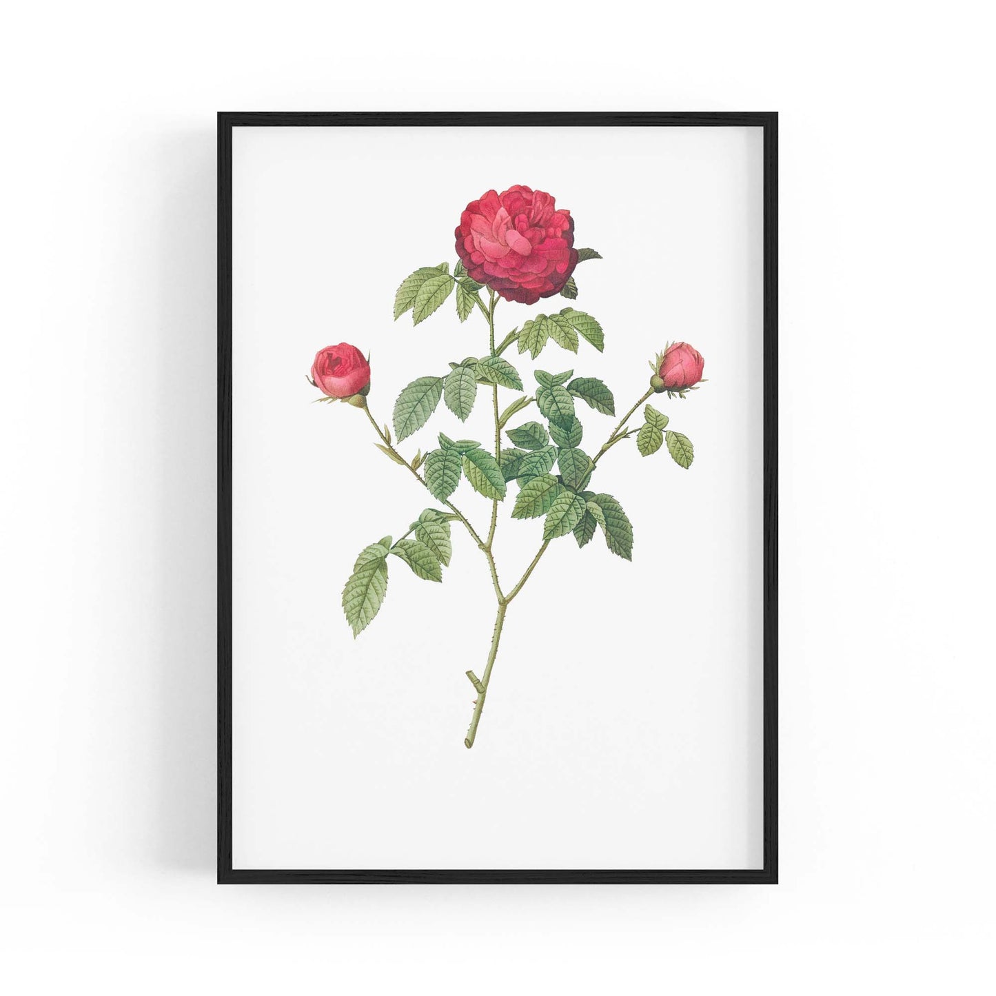 Flower Botanical Painting Kitchen Hallway Wall Art #3 - The Affordable Art Company