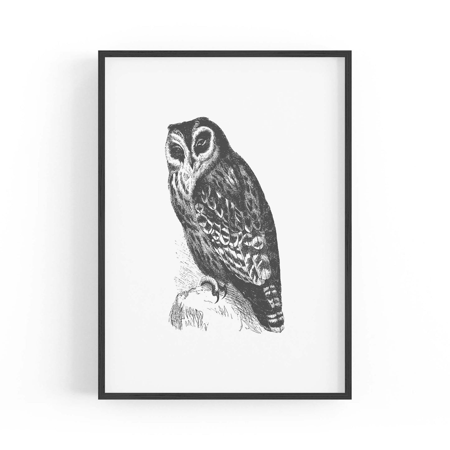 Owl Drawing Portrait Minimal Black Wall Art #4 - The Affordable Art Company