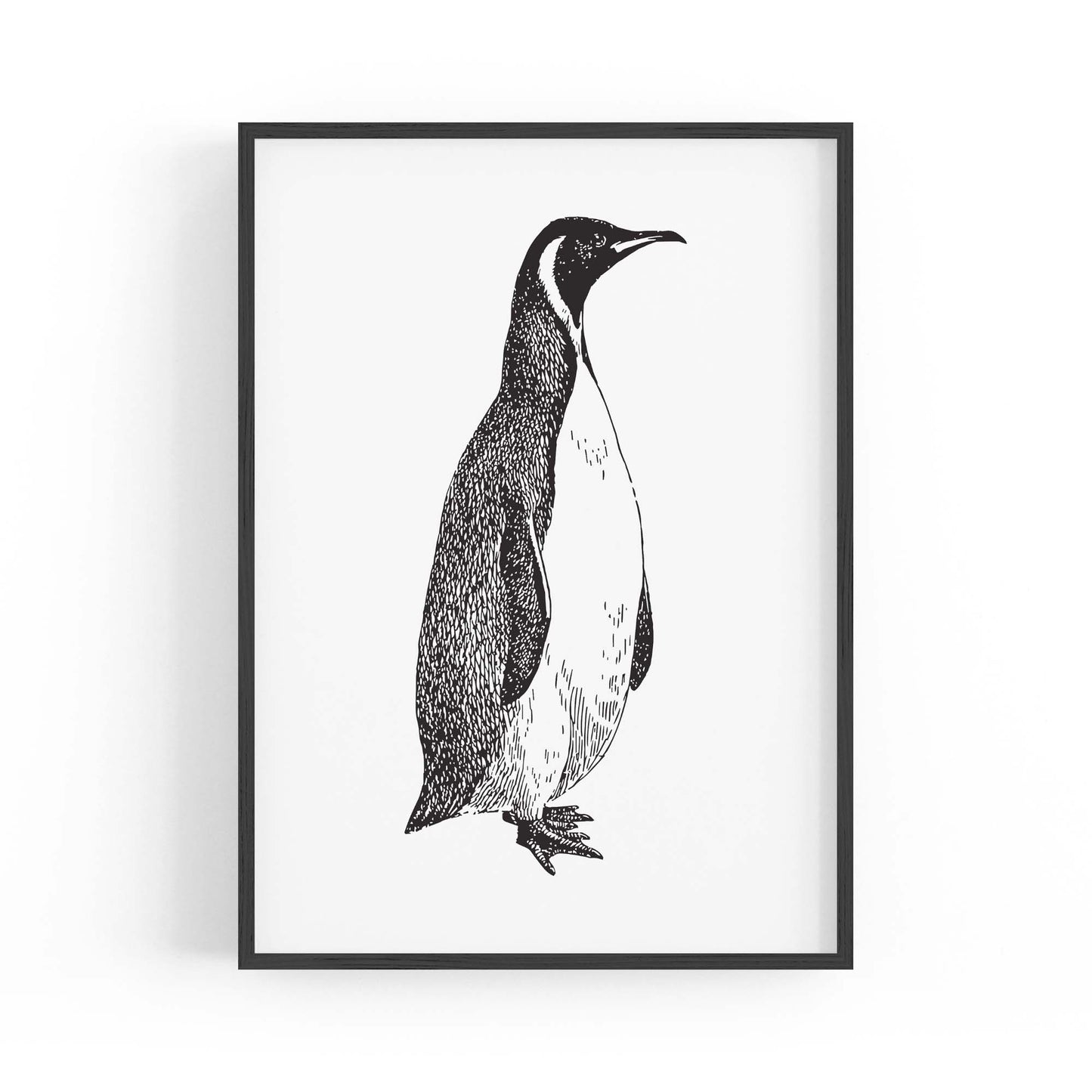 Penguin Drawing Animal Office Library Wall Art #1 - The Affordable Art Company