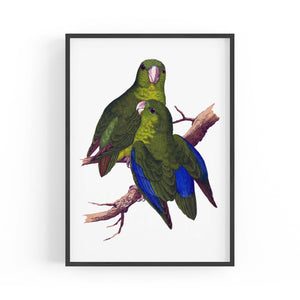 Blue-Winged Parakeet Exotic Bird Drawing Wall Art - The Affordable Art Company