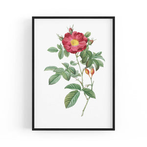 Flower Botanical Painting Kitchen Hallway Wall Art #9 - The Affordable Art Company