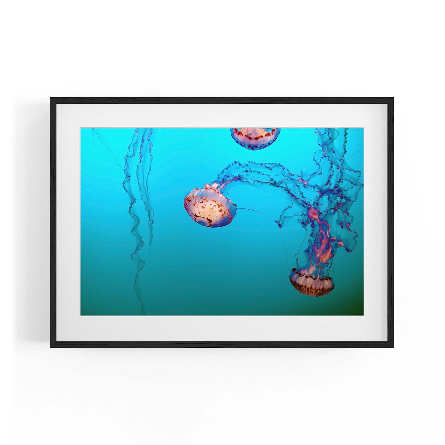 Deep Blue Jellyfish Neon Photograph Wall Art - The Affordable Art Company