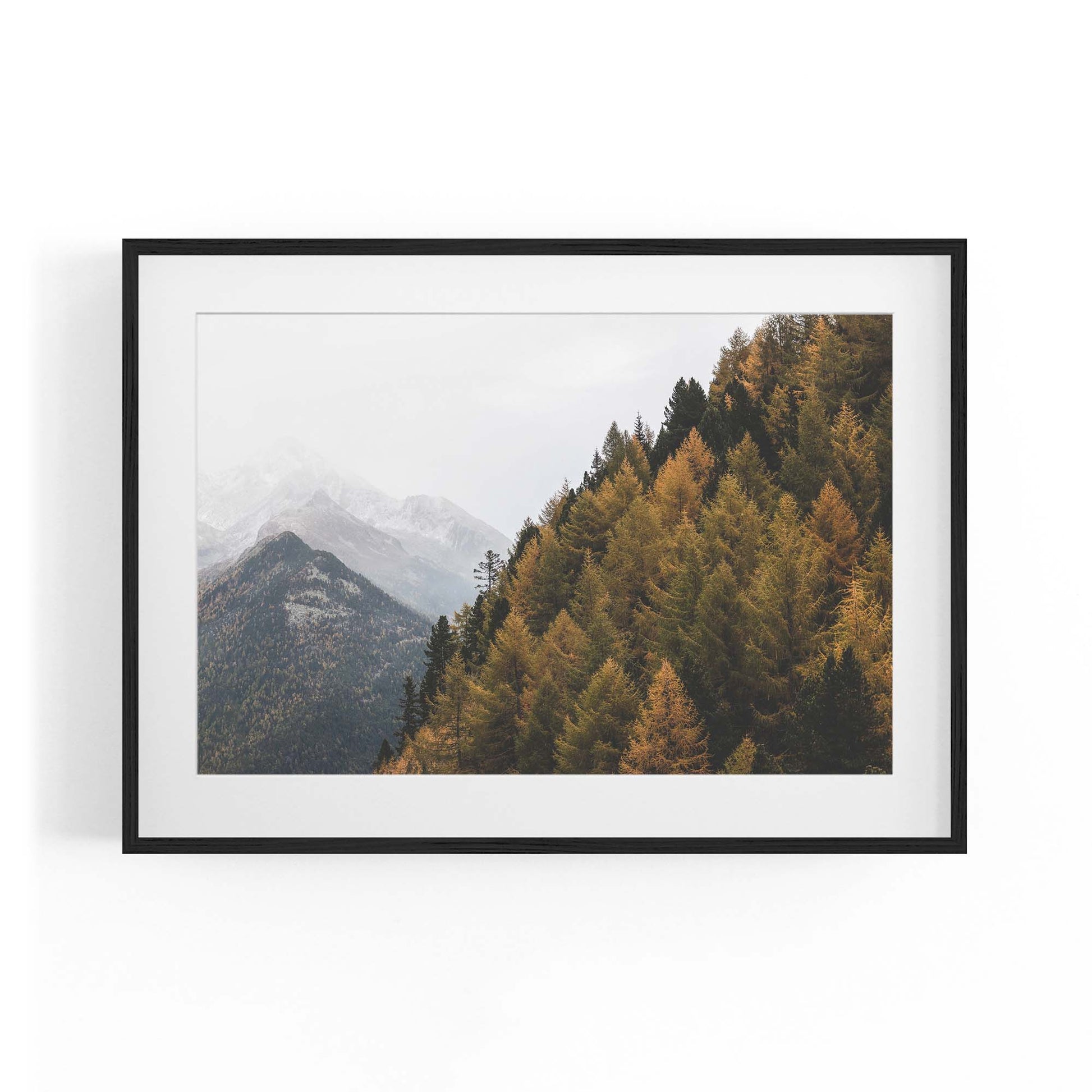 Autumn Forest Nature Photograph Green Wall Art #1 - The Affordable Art Company