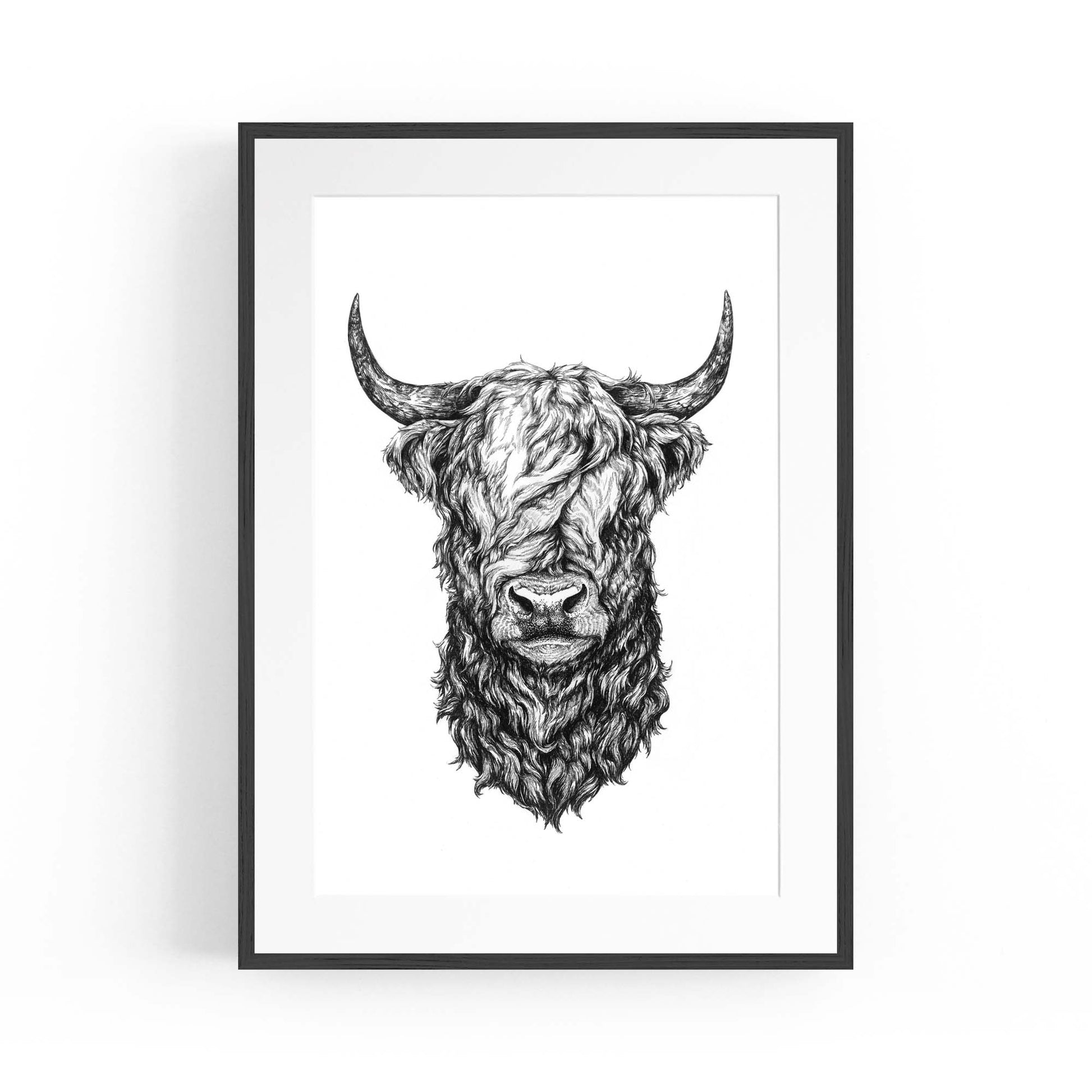 Highland Cow Detailed Head Drawing Wall Art - The Affordable Art Company