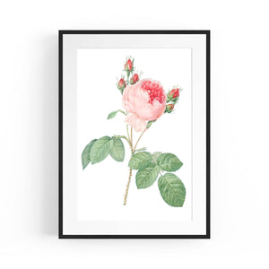 Flower Botanical Painting Kitchen Hallway Wall Art #36 - The Affordable Art Company