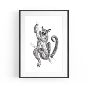 Lemur Detailed Drawing Animal Wall Art - The Affordable Art Company