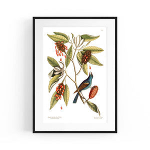 Sweet Bay Flower Botanical Kitchen Wall Art - The Affordable Art Company