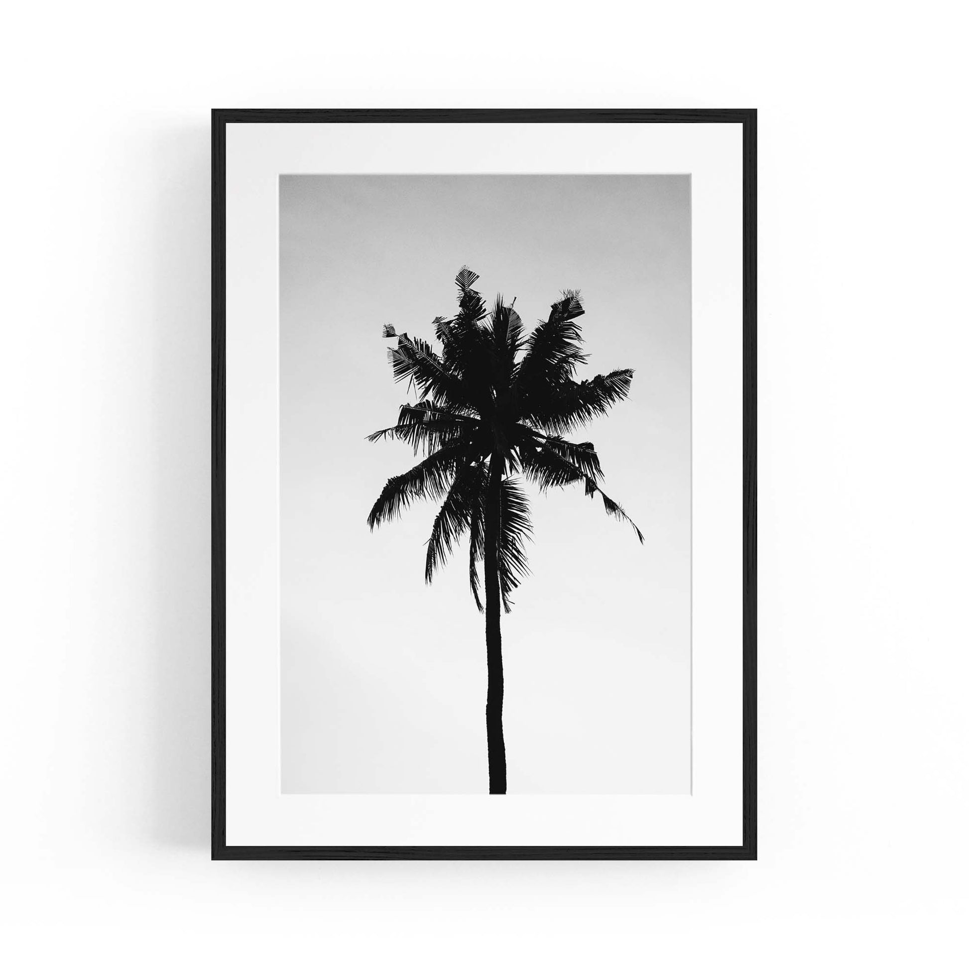 Palm Tree Sunset Photograph Coastal Wall Art #1 - The Affordable Art Company