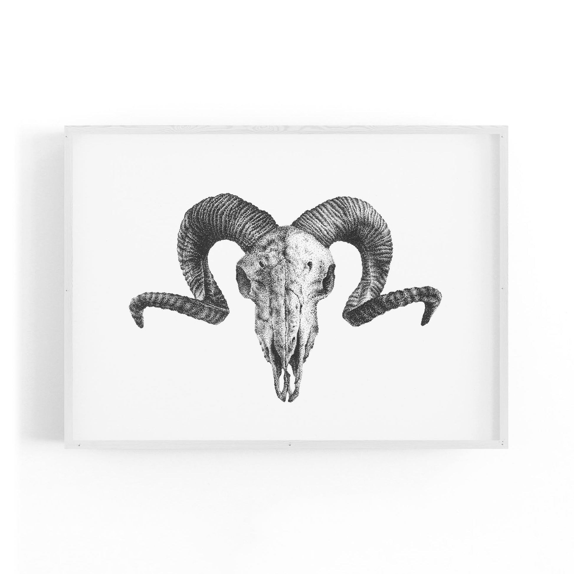 Ram Skull Drawing Man Cave Animal Wall Art - The Affordable Art Company