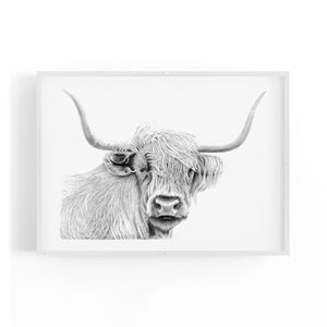 Highland Cow Detailed Drawing Minimal Wall Art - The Affordable Art Company