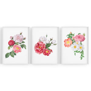 Set of Floral Botanical Flower Kitchen Wall Art - The Affordable Art Company