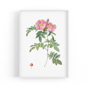 Flower Botanical Painting Kitchen Hallway Wall Art #32 - The Affordable Art Company