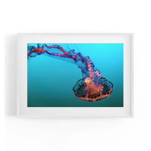 Electric Jellyfish Blue Photograph Neon Wall Art - The Affordable Art Company