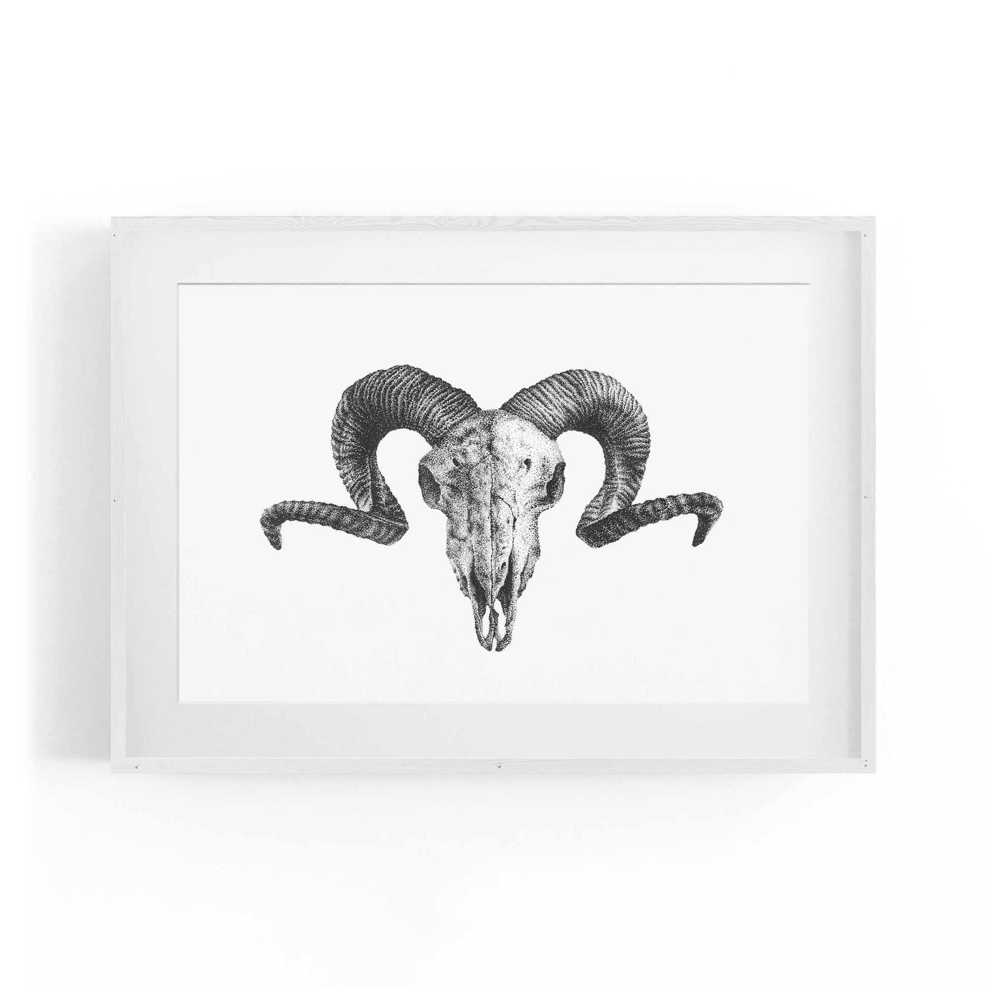 Ram Skull Drawing Man Cave Animal Wall Art - The Affordable Art Company