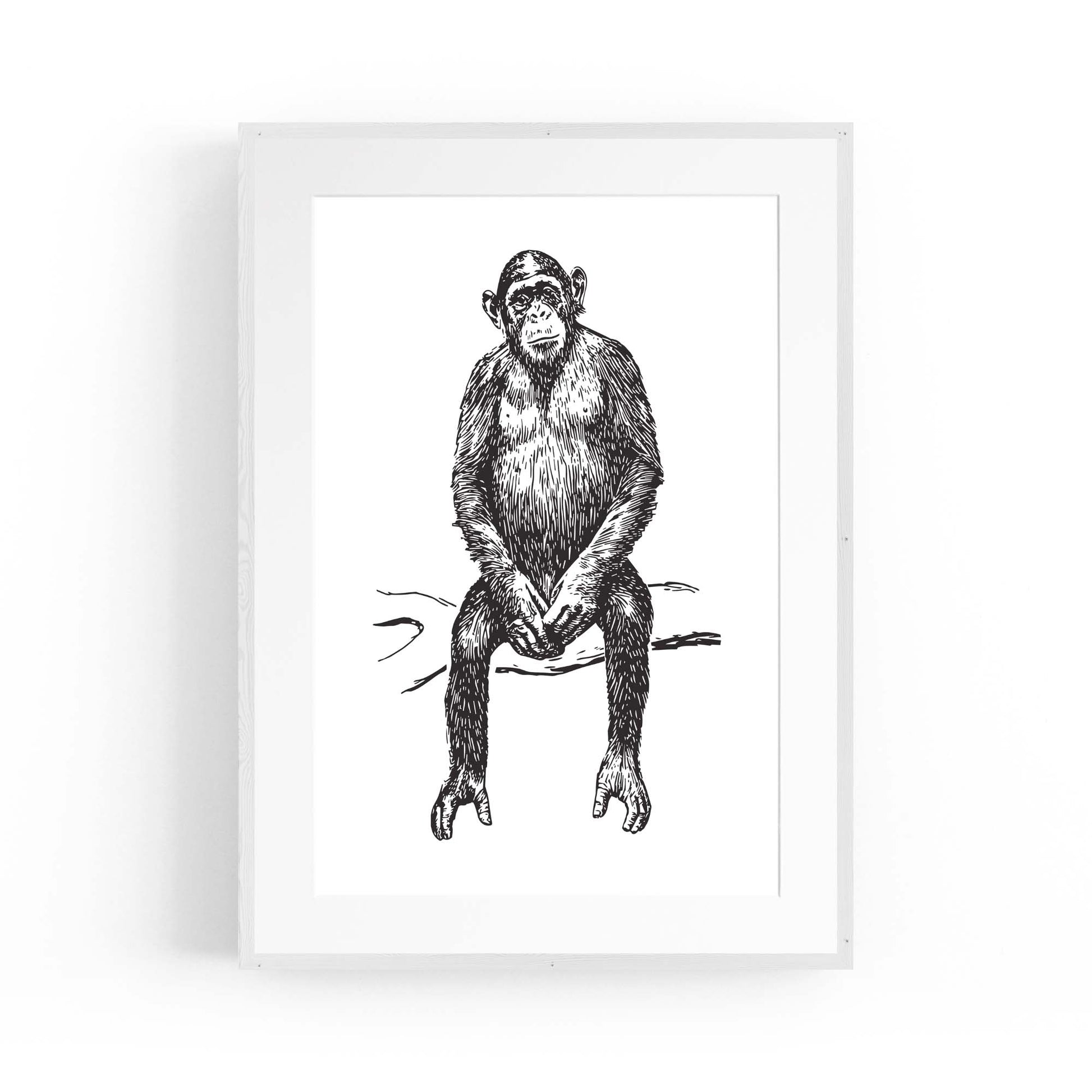 Monkey Drawing Animal Jungle Wall Art - The Affordable Art Company
